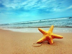 Морските ѕвезди имаат супер моќи