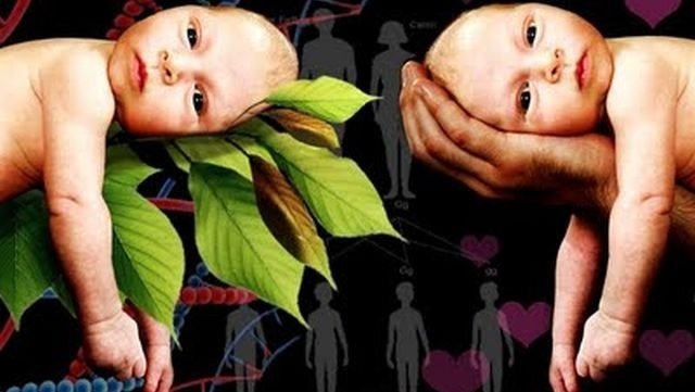 ed0b0c31c412f7d67bd39119503bb394.jpg