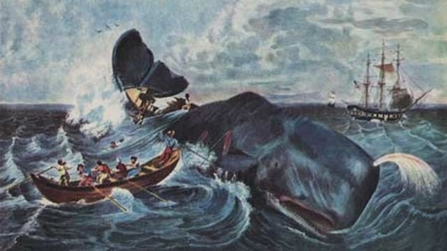 moby-dick