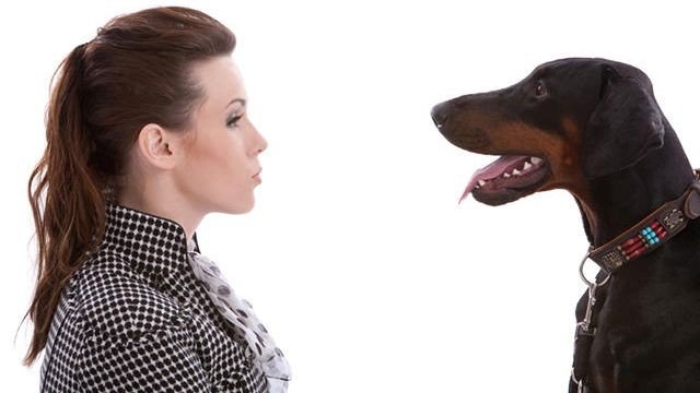 Staring contest
