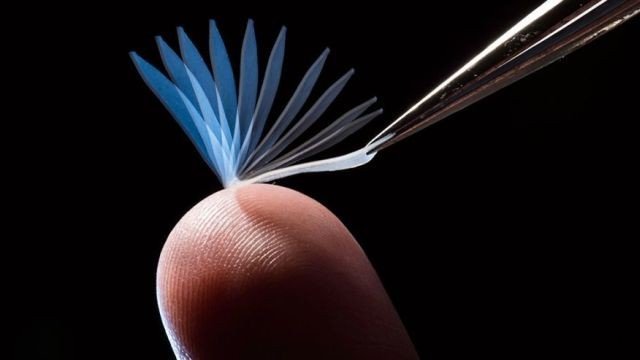 Super-Polymer