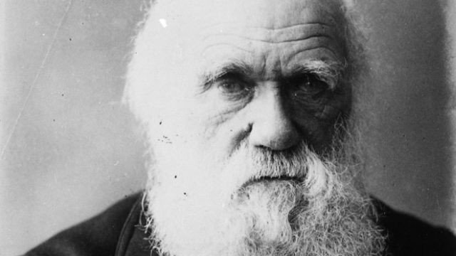 copy1-56-767-charles-darwin-1879-660x440