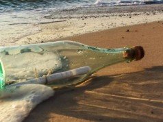 Откриена најстарата порака во шише