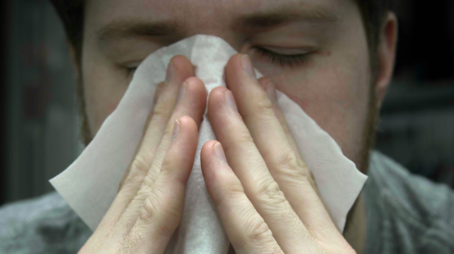Hayfever_web_1024