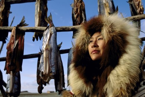 Alaskan Native Eskimo woman & fish drying rack Kotzebue/nAlaska Summer Fur parka