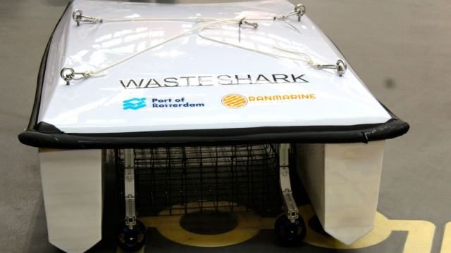 wasteshark