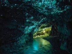 Блескавите пештери на Нов Зеланд