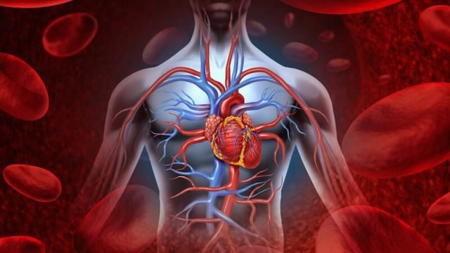 foods-improve-circulation