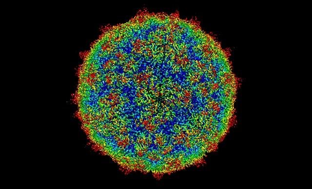 virus