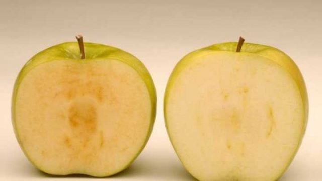 default-1464361593-947-gm-apples-that-don-t-turn-brown-approved-for-growing-in-us