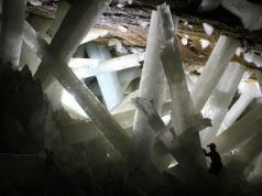 Антички микроби оживеани во Мексиканските пештери