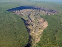 „Батагаика кратерот“ открива шуми од минатото