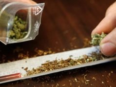 Не ја мешајте марихуаната со тутун