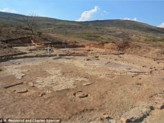 Во Мекско откриени траги од цивилизација стара 2.000 години