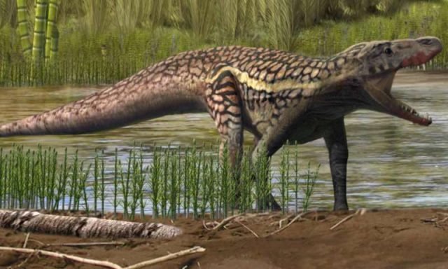 Prorotodactylus-mesaxonichnus