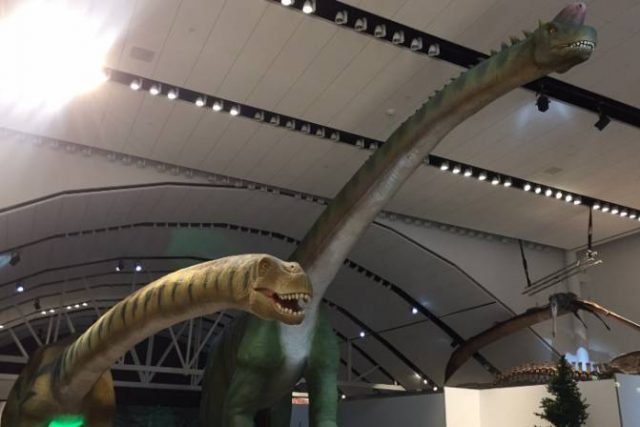musuem