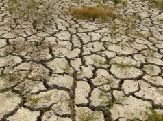 Како ќе се одрази повлекувањето на САД од Парискиот договор?