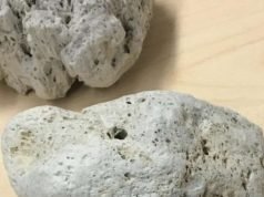 Зошто овој камен толку долго може да лебди над вода?