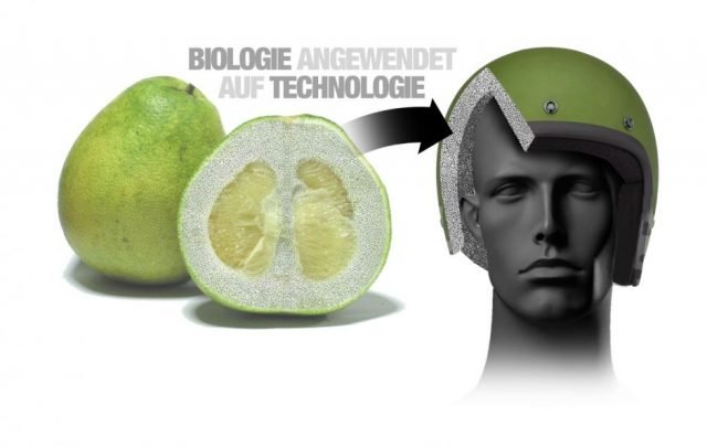 p90266975_highres_bionic-research-proj-199468a0