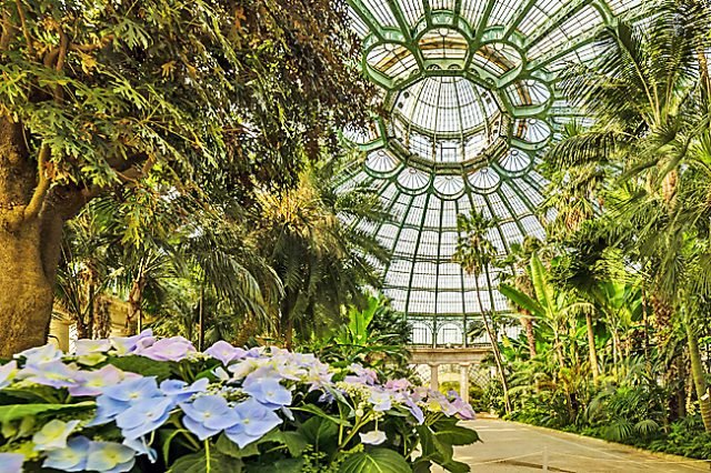 Giant royal greenhouse in Belgium is a treat for nature lovers