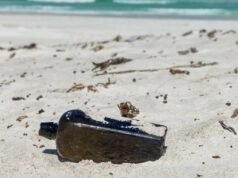 Најстарата пронајдена порака во шише содржела интересен прашалник, утврдена неговата содржина