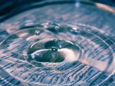Како мудроста се разликува од другите особини?