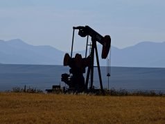 Колку светот се потпира на руската нафта и како забраните ќе влијаат на економиите на ЕУ?