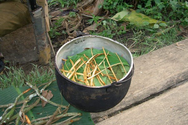 tendzere