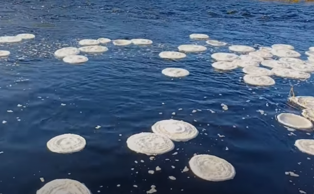 palacinki mraz