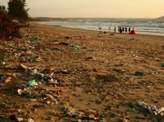 Научниците создадоа пластика која целосно се распаѓа во морската вода