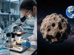 Астероидот Рјугу ги содржи сите пет нуклеобази на животот