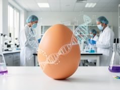 Генско уредување што може да донесе лекови од јајца