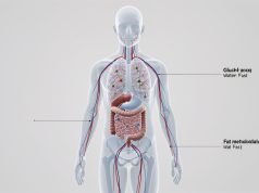Седум дена постење откриваат длабоки промени во телото